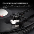 rock pigeon all in one turntable audio technica MM cartridge
