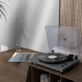 rock pigeon all in one turntable on the table