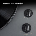 rock pigeon all in one turntable speed dial control