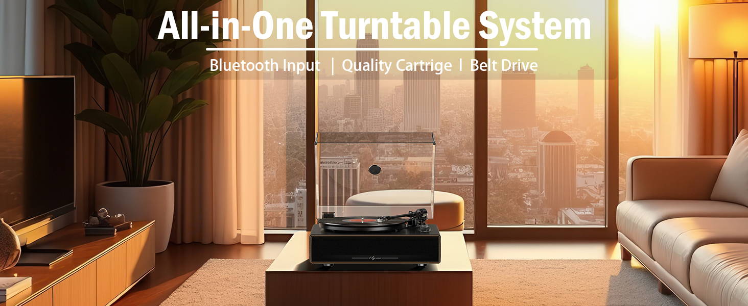 hyeon ヘヨン ribbon all-in-one Hi-Fi All-in-One Vinyl Turntable, Black | 1byone Audio