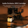 H009 All-In-One Turntable Vinyl Record Player